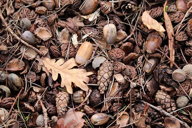 earthy dining room styling with oak table olive accents and textured chairs 2026 UK